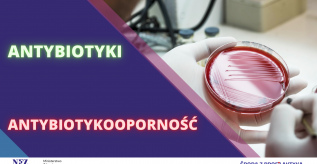 Infografika Antybiotykooporność