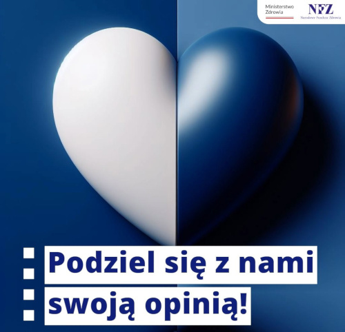 Infografika