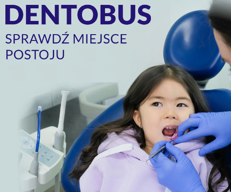 Infografika: Dentobus